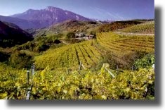 Panorama autunnale delle nostre valli